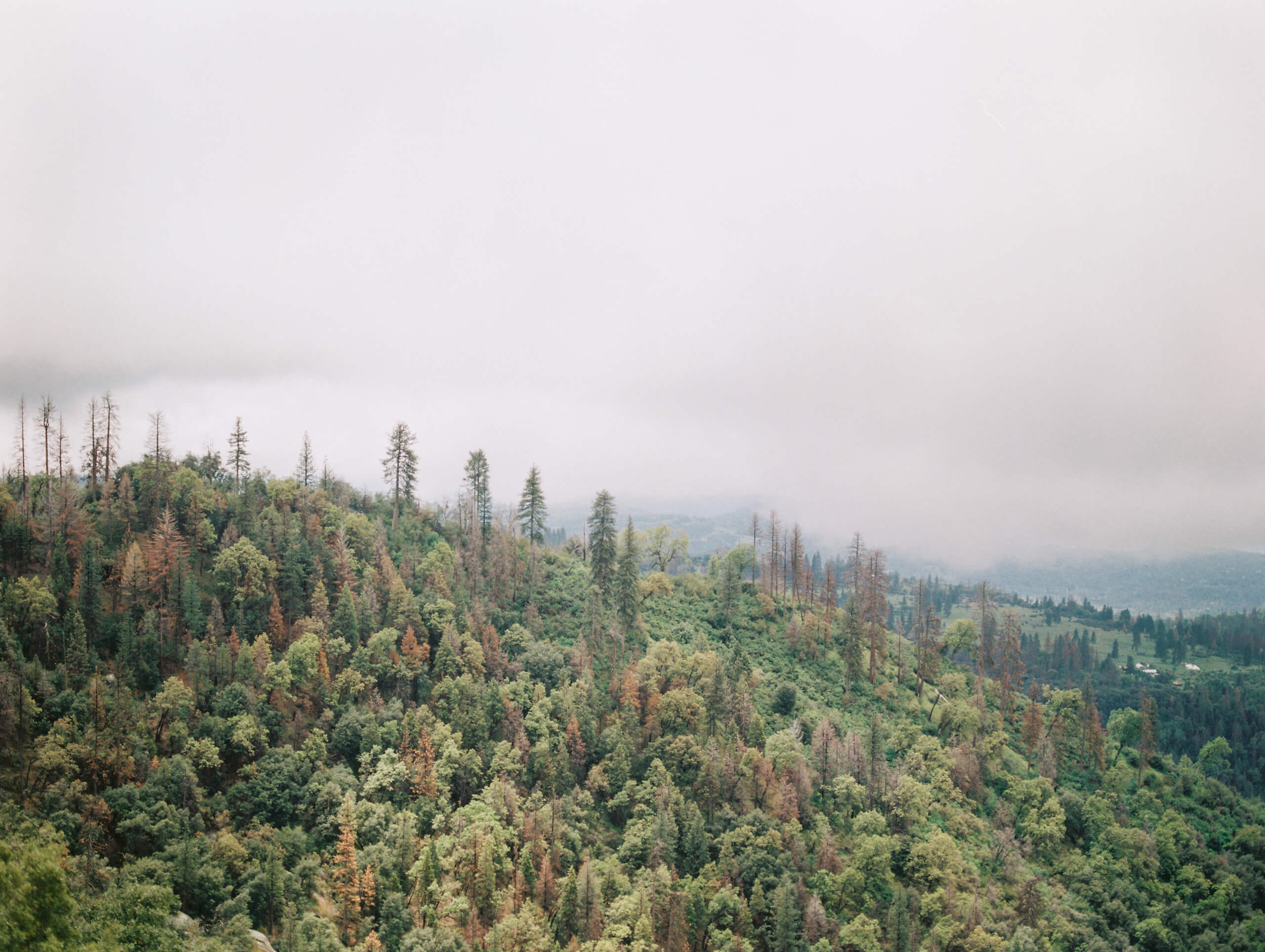 Three of Our Faculty Members Completed Their Degrees!